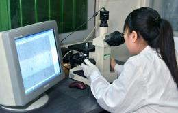 201410181833065175.jpg.thumb.jpg 1.jpg