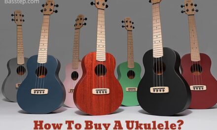 How To Buy A Ukulele?